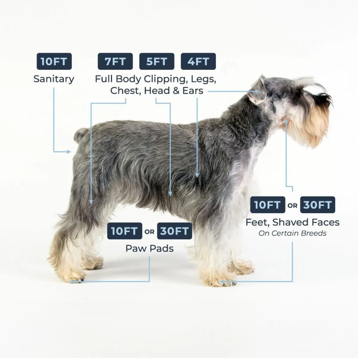 Ryan's Pet Supplies Andis CeramicEdge Pet Grooming Clipper Blades
