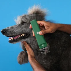 Ryan's Pet Supplies Andis Green Vida Cordless Clipper - Lithium-ion Power