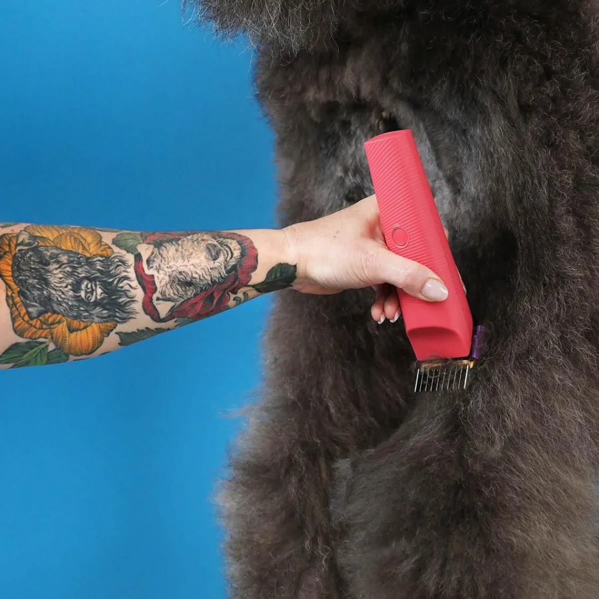 Ryan's Pet Supplies Andis Raspberry Vida Cordless Clipper