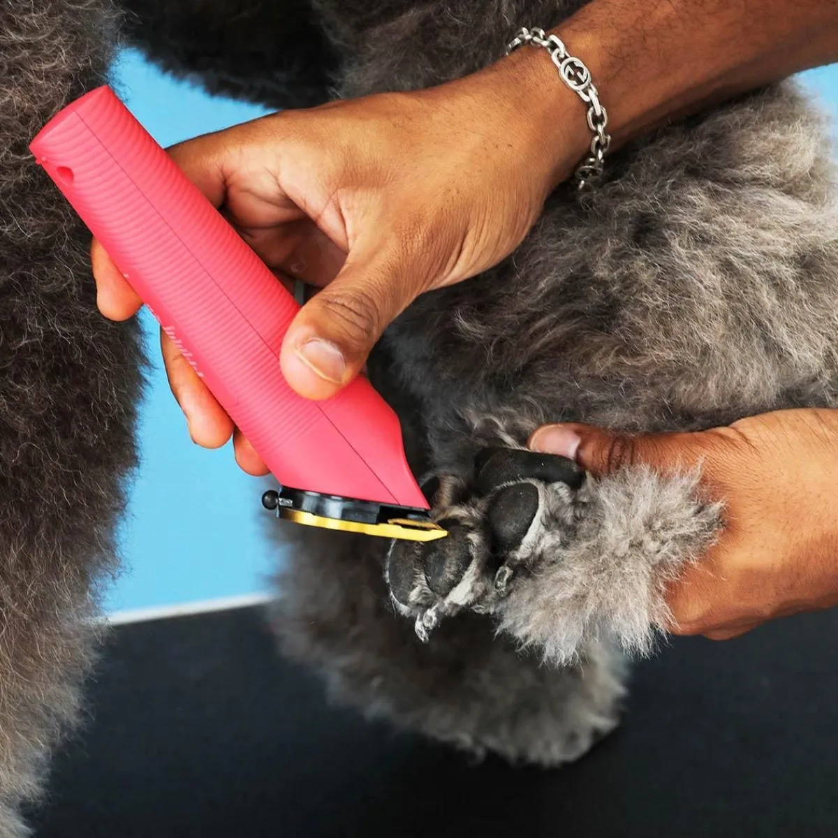 Ryan's Pet Supplies Andis Raspberry Vida Cordless Clipper