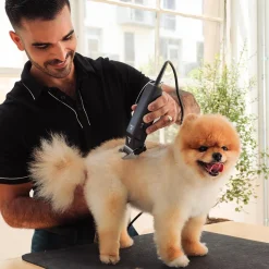 Ryan's Pet Supplies Andis 2-Speed AG Clipper W/ #10 Blade