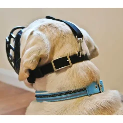 Ryan's Pet Supplies Baskerville Ultra Muzzle Size 3 Border Collie