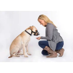 Ryan's Pet Supplies Baskerville Ultra Muzzle Size 2 Westie