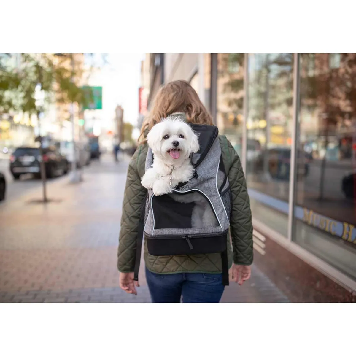 Ryan's Pet Supplies Bergan Backpack Pet Carrier 17.5" H x 11.5" L x 9" W