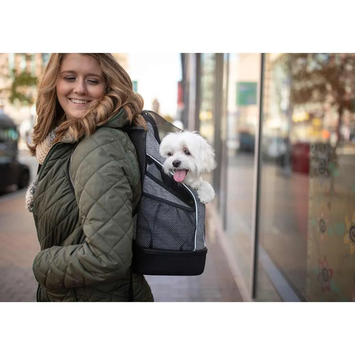Ryan's Pet Supplies Bergan Backpack Pet Carrier 17.5" H x 11.5" L x 9" W