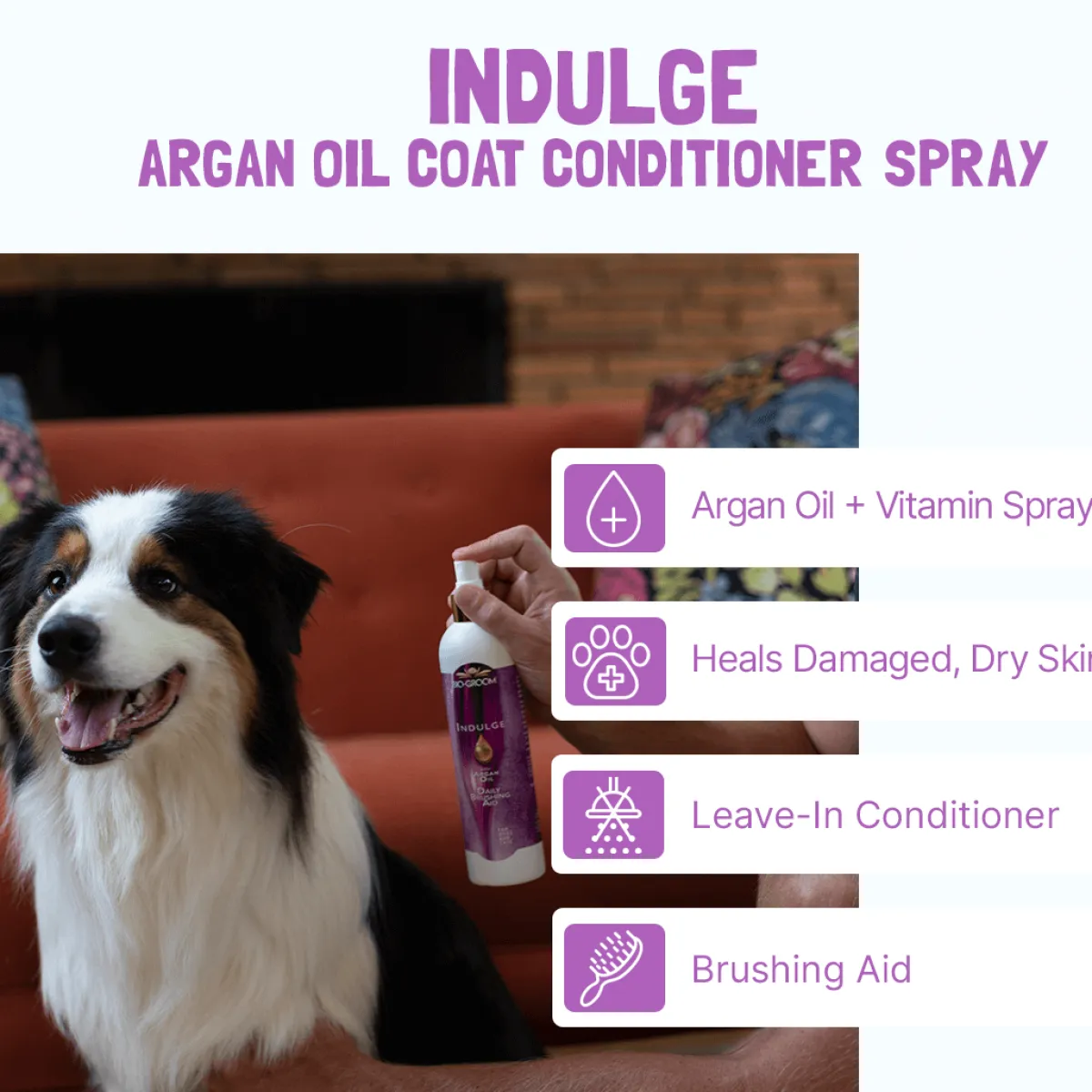 Ryan's Pet Supplies Bio-Groom Indulge Daily Brushing Spray with Argan Oil - 8 oz