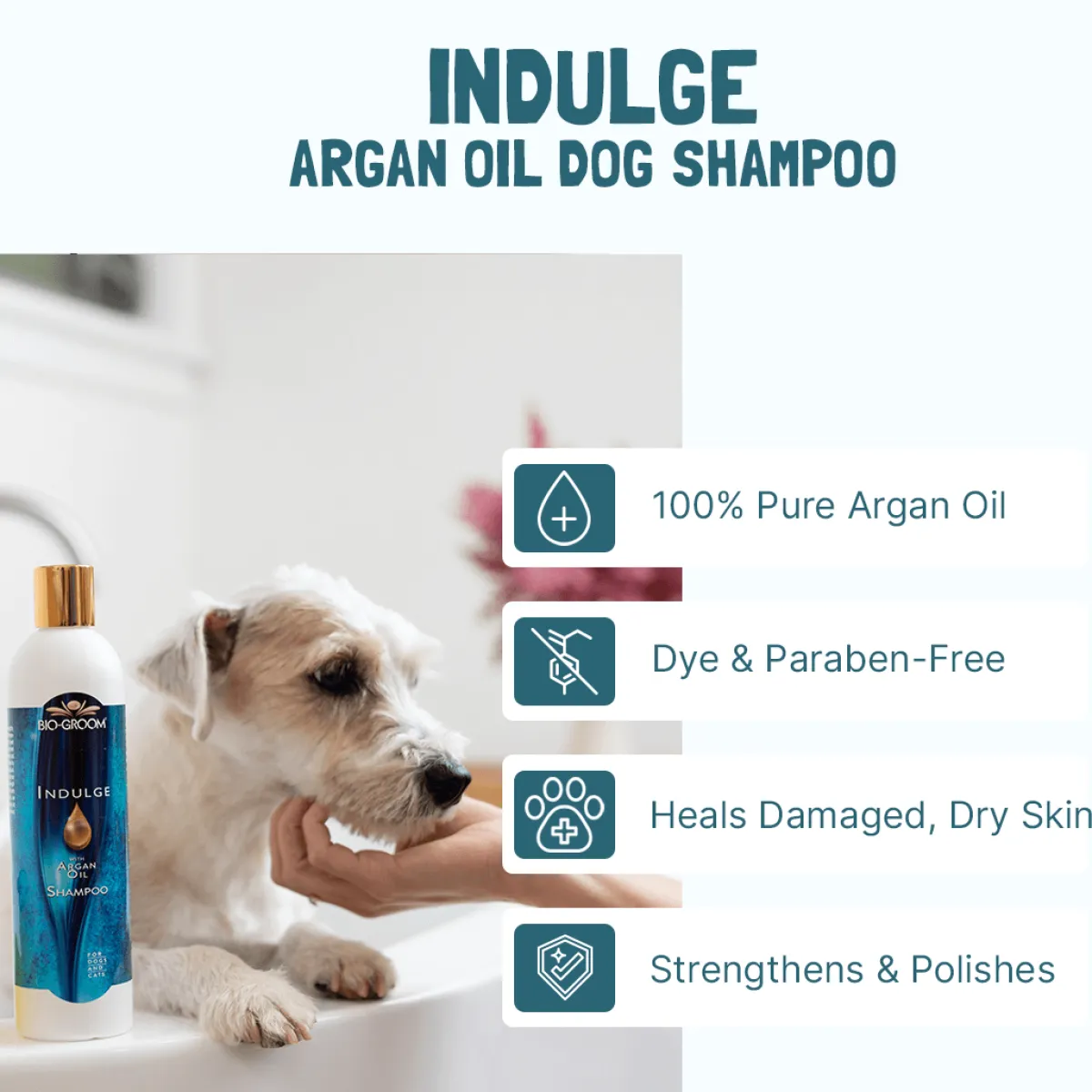 Ryan's Pet Supplies Bio-Groom Indulge Shampoo 4:1