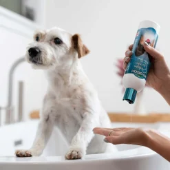 Ryan's Pet Supplies Bio-Groom Protein Lanolin Tearless Shampoo  4:1
