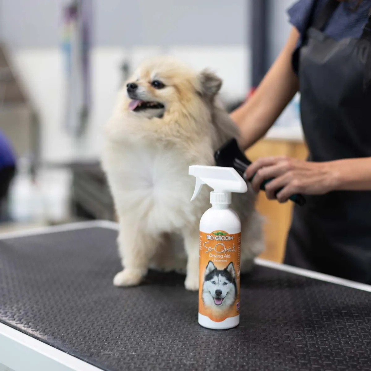 Ryan's Pet Supplies Bio-Groom So Quick Spray