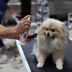 Ryan's Pet Supplies Bio-Groom Spray Set