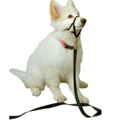 Ryan's Pet Supplies Black Halti Training Collar For Boxer, Chow, Shepherd