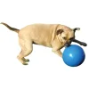 Ryan's Pet Supplies Boomer Ball Medium 6"