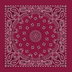 Ryan's Pet Supplies Burgundy Paisley Pet Bandana