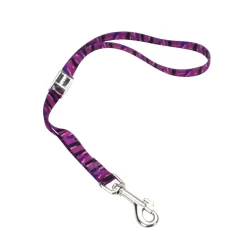 Ryan's Pet Supplies Camlock Grooming Loop (5/8" X 18")
