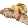 Ryan's Pet Supplies Chasing Our Tails Pig Ears 12 pk