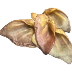 Ryan's Pet Supplies Chasing Our Tails Pig Ears 12 pk