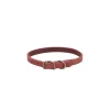 Ryan's Pet Supplies Circle T Rustic 3/8" X 10", 12" Leather Collar