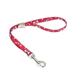 Ryan's Pet Supplies Coastal Camlock Grooming Loop 5/8" X 24"