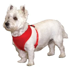 Ryan's Pet Supplies Coastal Comfort Mesh Dog Harness - XX-Small (5-7lbs)