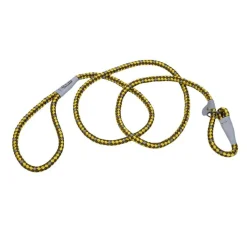 Ryan's Pet Supplies Coastal K9 Explorer Braided Rope Slip Leash 6'