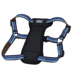 Ryan's Pet Supplies Coastal K9 Explorer Large Harness 1" by 26-38"