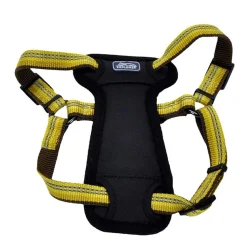Ryan's Pet Supplies Coastal K9 Explorer XS Step In Dog Harness 5/8" x 12-18"