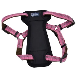 Ryan's Pet Supplies Coastal K9 Explorer XS Step In Dog Harness 5/8" x 12-18"