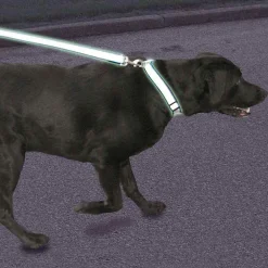 Ryan's Pet Supplies Coastal Lazer Brite Reflective Adjustable Collar 1" x 18-28"