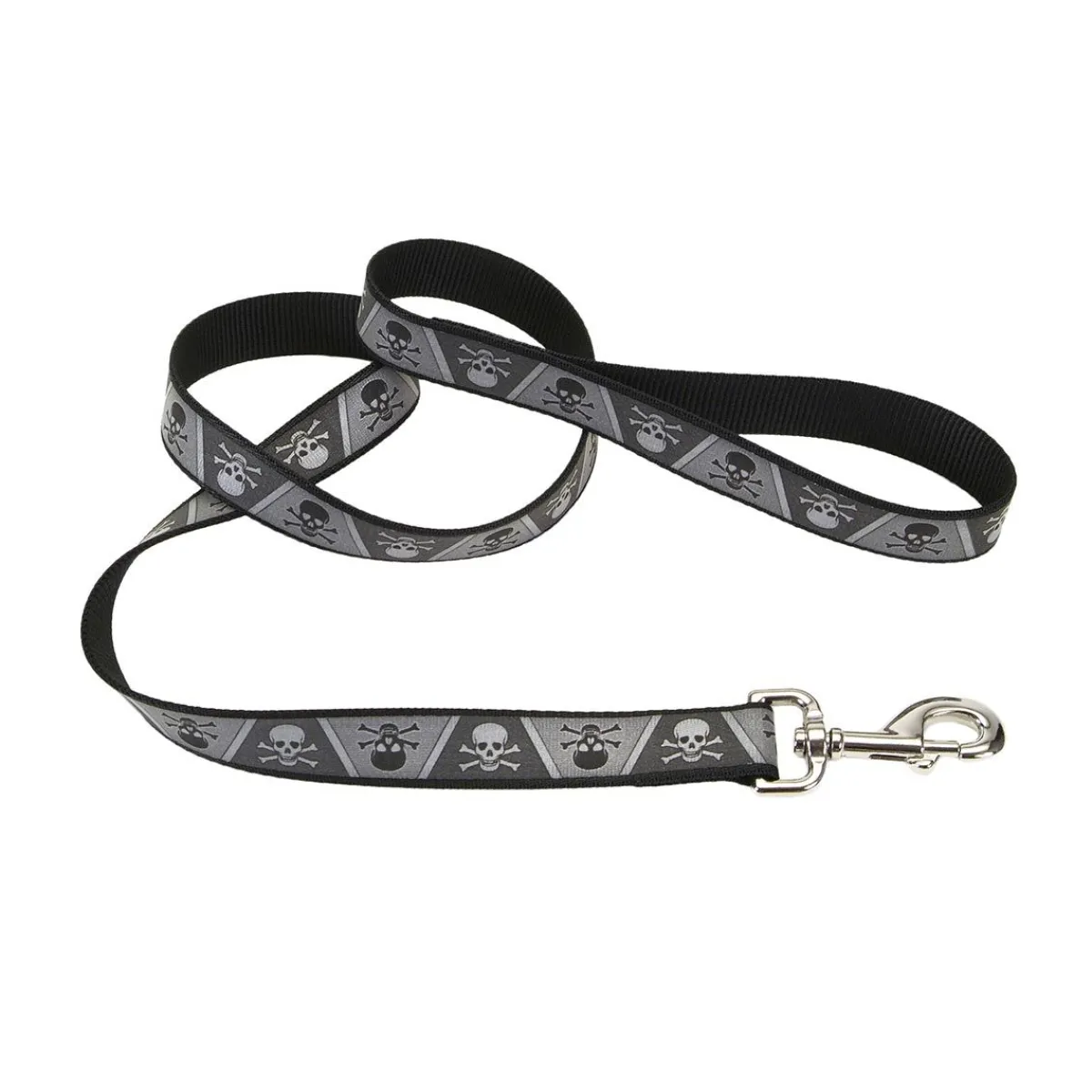 Ryan's Pet Supplies Coastal Lazer Brite Reflective Dog Leash - 1" x 6'