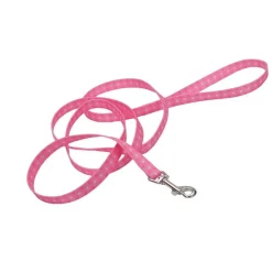 Ryan's Pet Supplies Coastal Leads 4' X 5/8''