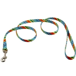 Ryan's Pet Supplies Coastal Leads 4' X 5/8''