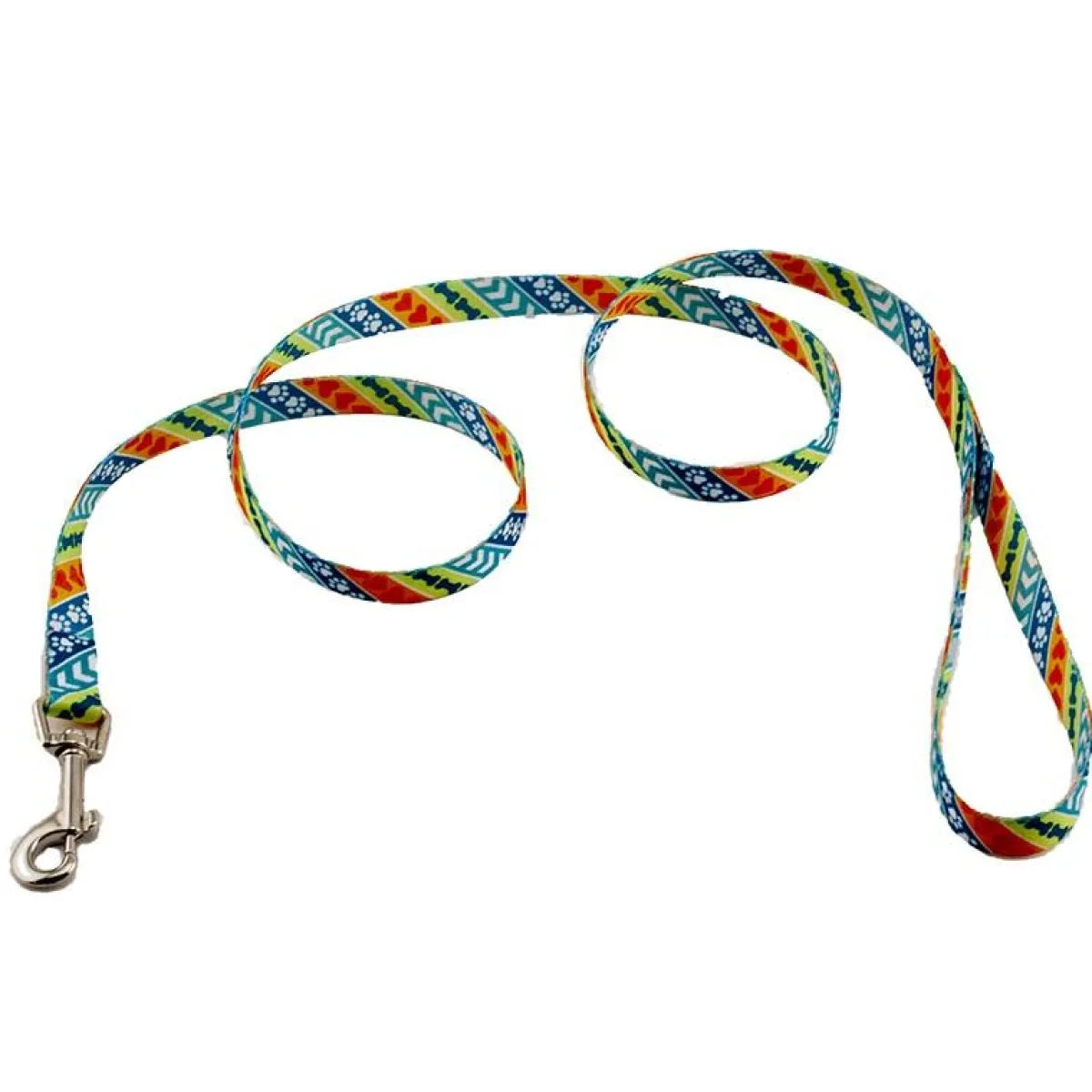Ryan's Pet Supplies Coastal Leads 4' X 5/8''