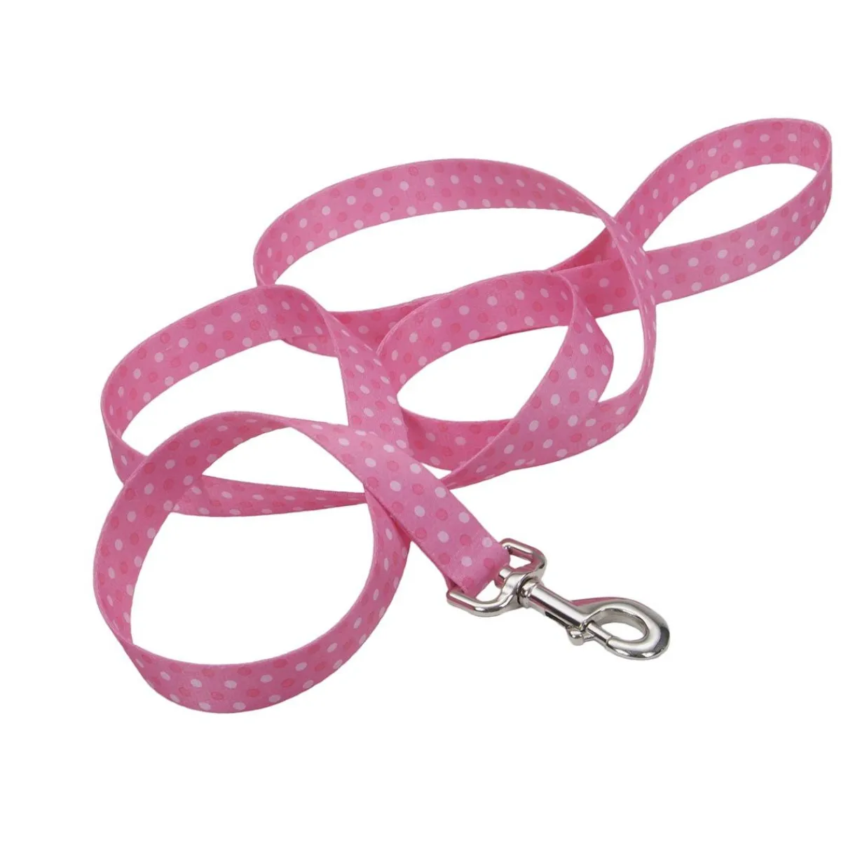 Ryan's Pet Supplies Coastal Leads 6' X 1''