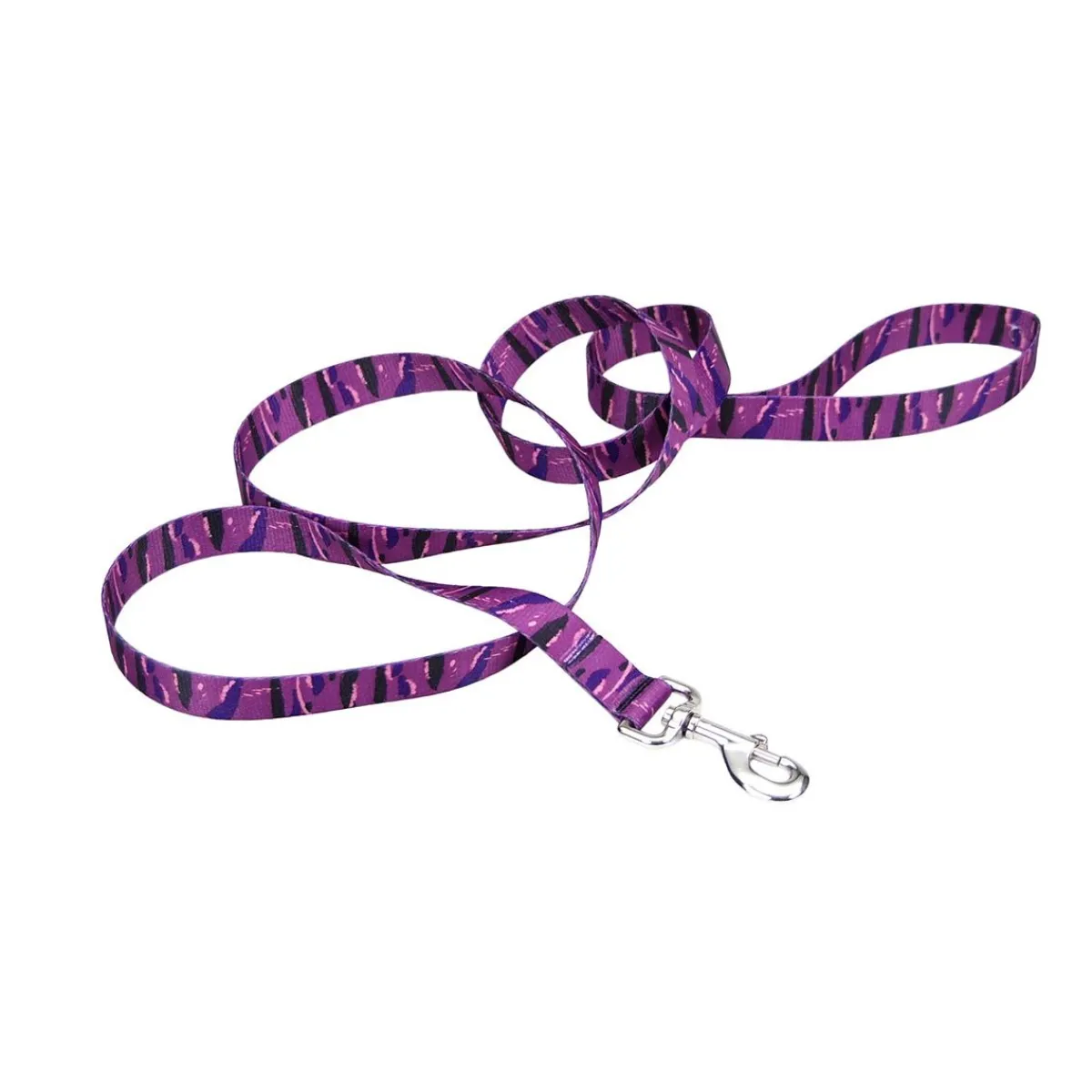Ryan's Pet Supplies Coastal Leads 6' X 1''
