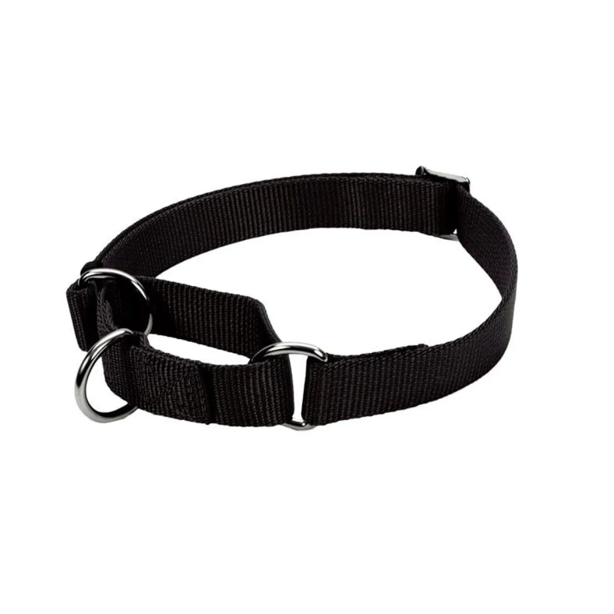 Ryan's Pet Supplies Coastal No Slip! Martingale Collar - Medium 3/4"