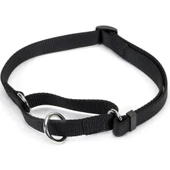 Ryan's Pet Supplies Coastal No Slip! Martingale Collar - Medium 3/4"