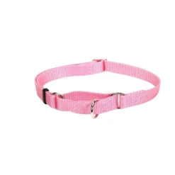 Ryan's Pet Supplies Coastal No Slip! Martingale Collar - Medium 3/4"