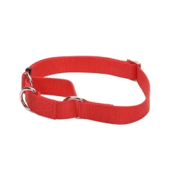 Ryan's Pet Supplies Coastal No Slip! Martingale Collar - Medium 3/4"