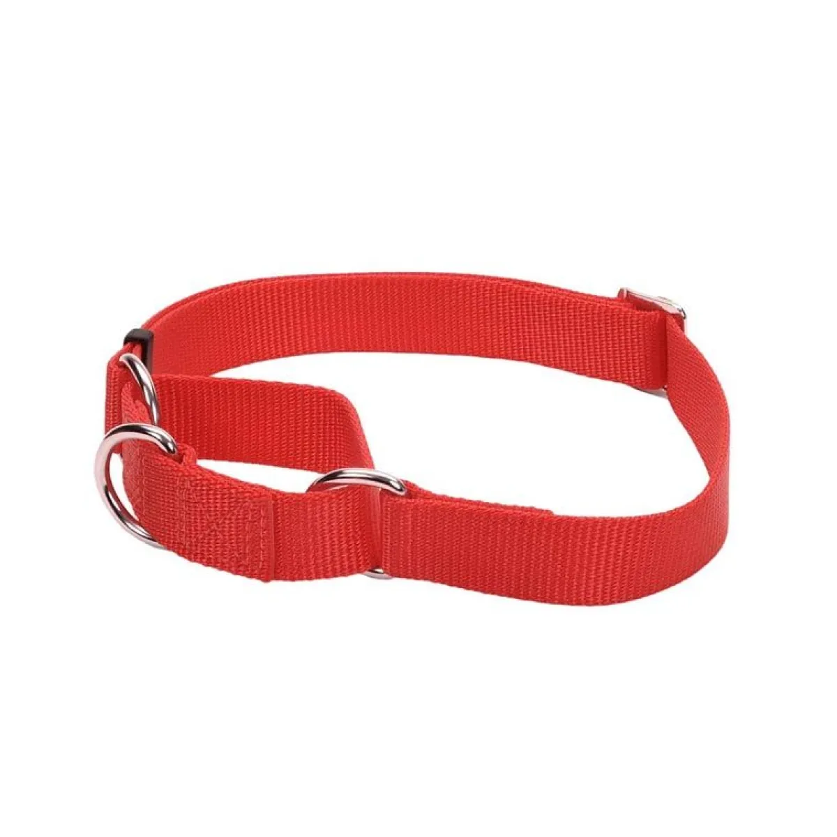 Ryan's Pet Supplies Coastal No Slip! Martingale Collar - Medium 3/4"