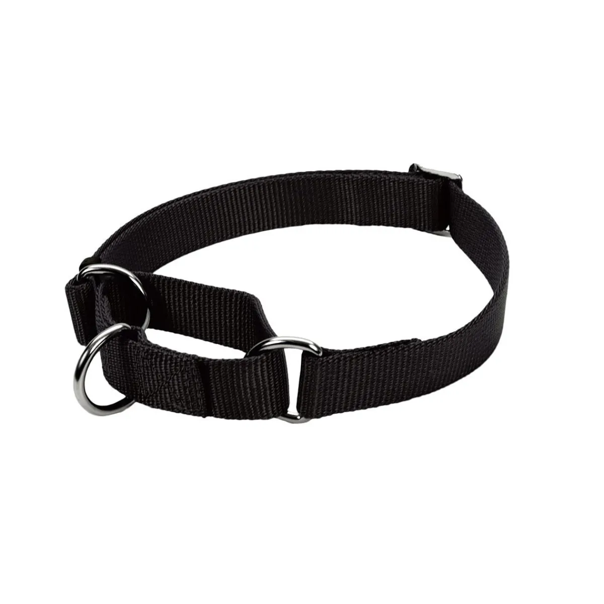 Ryan's Pet Supplies Coastal No Slip! Martingale Collar 5/8"