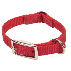 Ryan's Pet Supplies Coastal Nylon Cat Safety Stretch Collar 3/8"