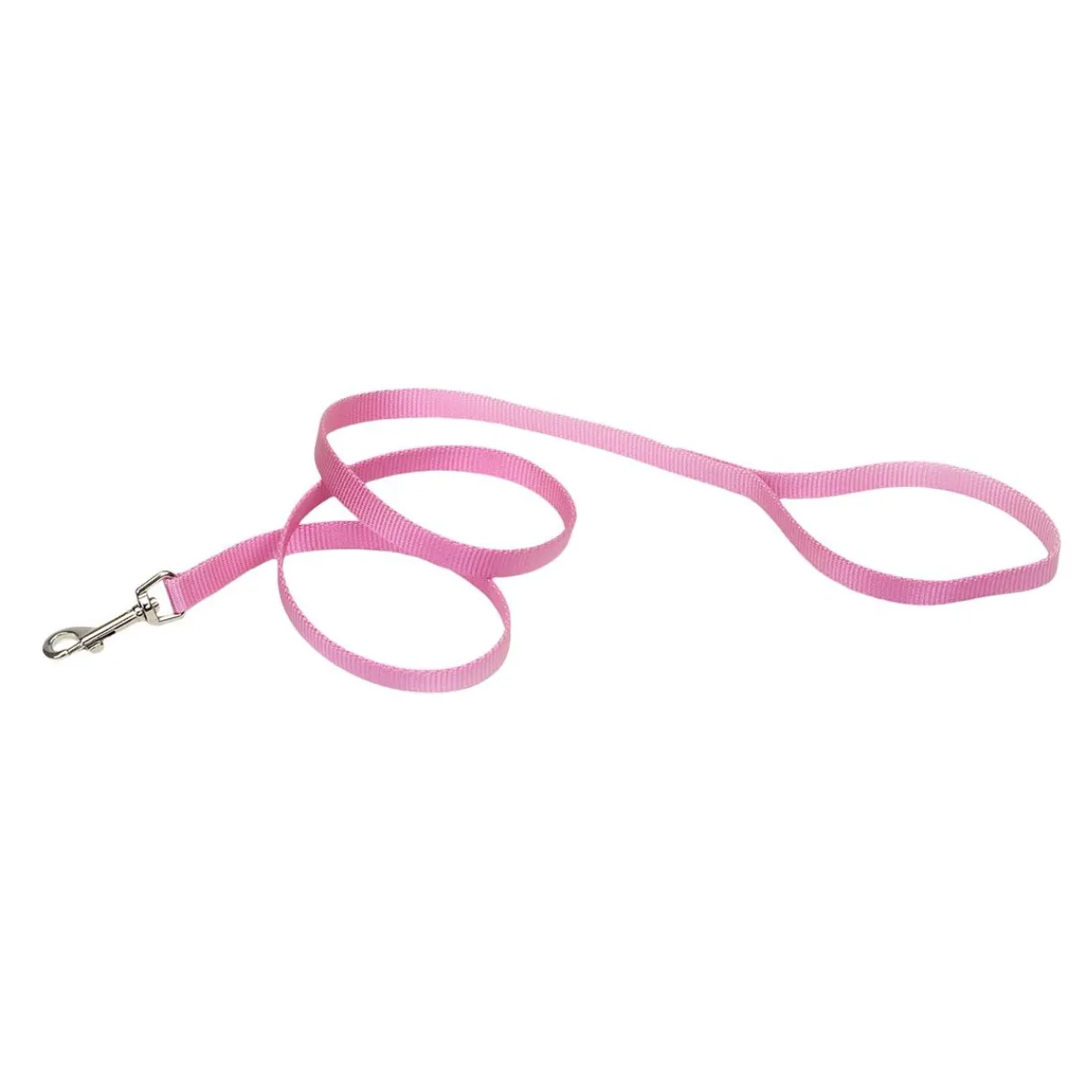 Ryan's Pet Supplies Coastal Nylon Dog Leash for Small Breeds 6' x 1"