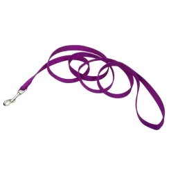 Ryan's Pet Supplies Coastal Nylon Dog Leash for Small Breeds 6' x 1"