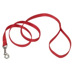 Ryan's Pet Supplies Coastal Nylon Dog Leash for Small Breeds 6' x 1"