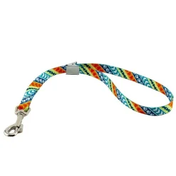 Ryan's Pet Supplies Coastal Nylon Grooming Loop 5/8"