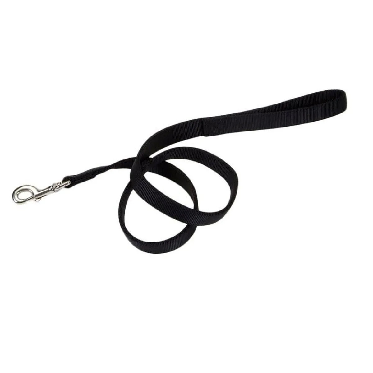 Ryan's Pet Supplies Coastal Nylon Leads 2 Ply 4' X 1''