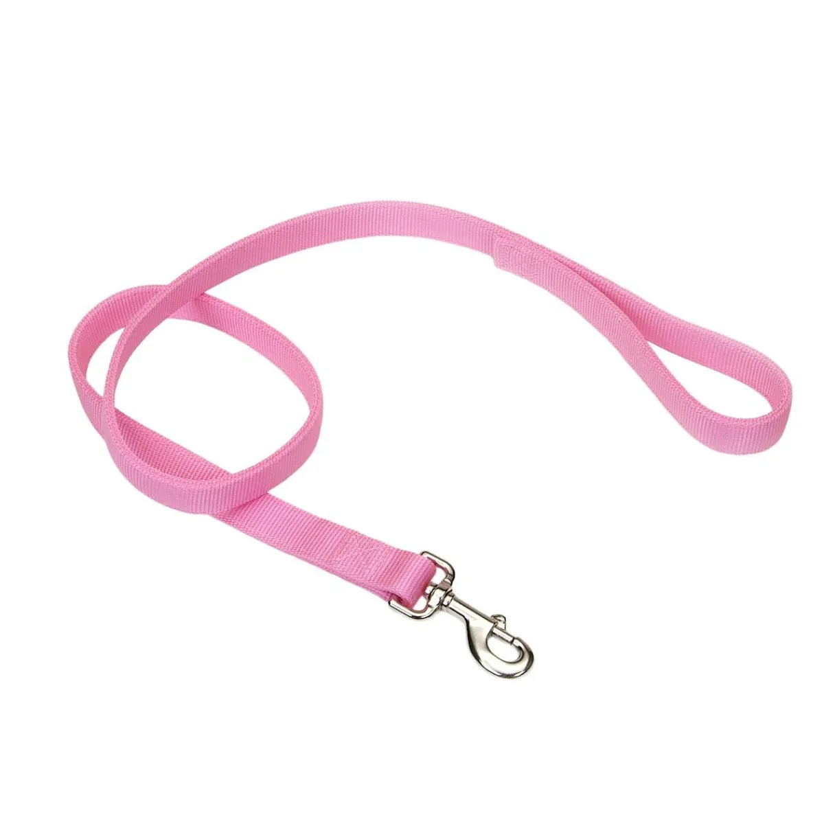 Ryan's Pet Supplies Coastal Nylon Leads 2 Ply 4' X 1''
