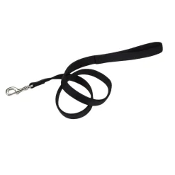Ryan's Pet Supplies Coastal Nylon Leads 2 Ply 6' X 1''