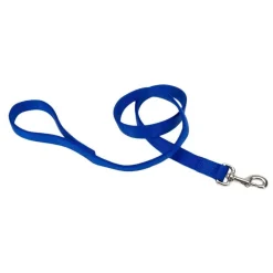 Ryan's Pet Supplies Coastal Nylon Leads 2 Ply 6' X 1''