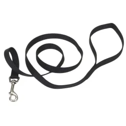 Ryan's Pet Supplies Coastal Nylon Leads 5/8" x 6'